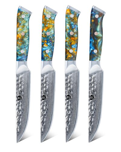 WILDMOK-4PCS-DAMASCUS-STEAK-KNIVES-SET-WITH-PEACOCK-BLUE-RESIN-HANDLE