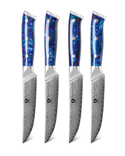 WILDMOK-4PCS-VG10-DAMASCUS-STEAK-KNIFE-SET