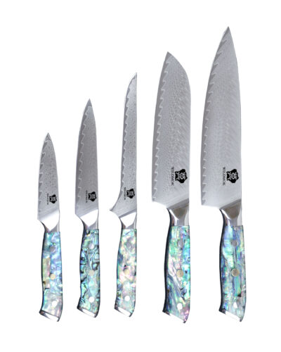 WILDMOK-5PCS-JAPANESE-VG10-DAMASCUS-KNIFE-SET