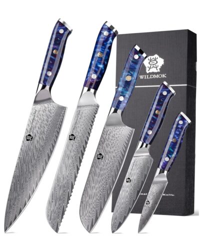 WILDMOK 5 PIECE KITCHEN KNIFE SET, JAPANESE DAMASCUS STEEL CHEF KNIVES SET, FULL TANG BLUE RESIN HANDLE (3)