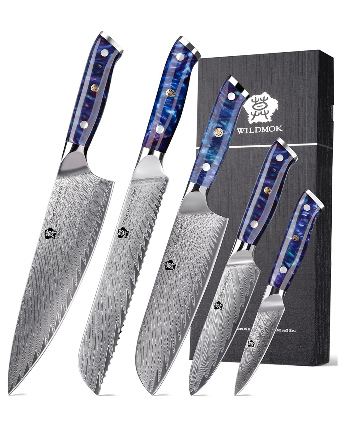 WILDMOK 5 PIECE KITCHEN KNIFE SET, JAPANESE DAMASCUS STEEL CHEF KNIVES SET, FULL TANG BLUE RESIN HANDLE (3)