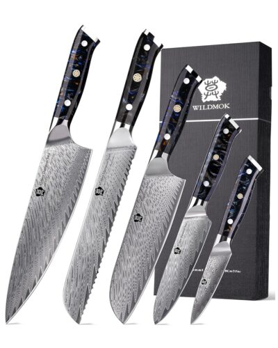 WILDMOK CHEF KNIFE SET 5 PIECE, JAPANESE DAMASCUS STEEL KNIFE KNIVES SET, FULL TANG BLACK RESIN HANDLE (6)