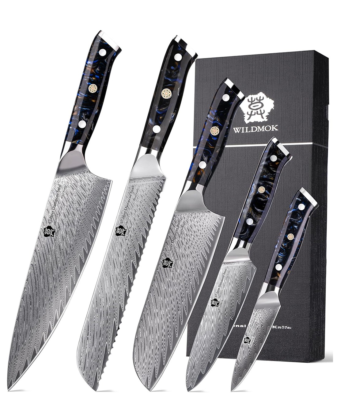 WILDMOK CHEF KNIFE SET 5 PIECE, JAPANESE DAMASCUS STEEL KNIFE KNIVES SET, FULL TANG BLACK RESIN HANDLE (6)