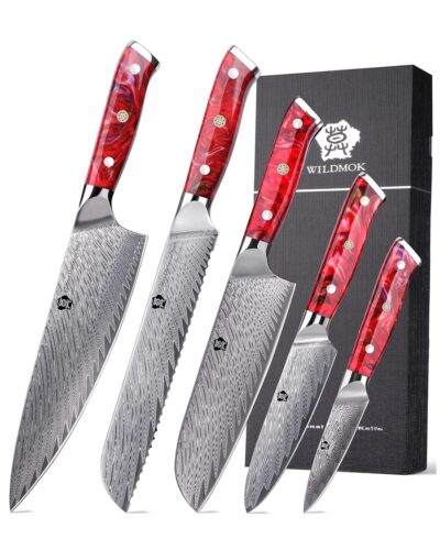 WILDMOK DAMASCUS KNIFE SET 5 PCS, PROFESSIONAL CHEF KNIFE ULTRA SHARP KITCHEN KNIFE SET, ULTRA SHARP BLADE & RED RESIN HANDLE (4)