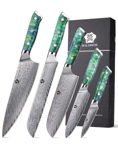 WILDMOK DAMASCUS KNIFE SET 5 PCS WITH GIFT BOX, KITCHEN KNIFE SET PROFESSIONAL CHEF KNIFE SET WITH GREEN RESIN HANDLE (8)