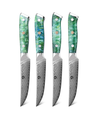 WILDMOK 4 PCS Extra Sharp VG10 Steel Damascus Kitchen Steak Knife Set With Resin Handle