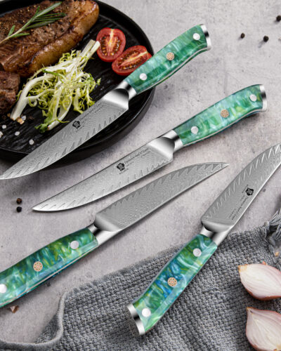 WILDMOK 4 PCS Extra Sharp VG10 Steel Damascus Kitchen Steak Knife Set With Resin Handle