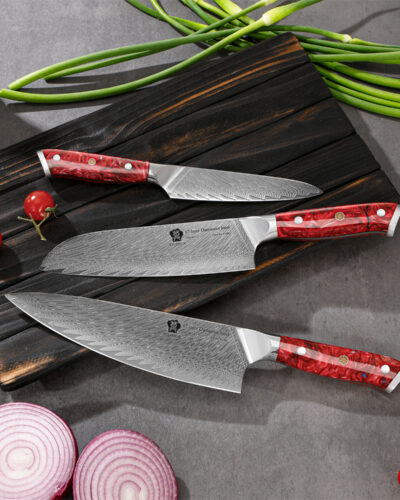 WILDMOK 3 Piece Damascus Steel Professional Chef Knife Set with Ultra Sharp Blade & Resin Handle