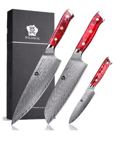 WILDMOK 3 Piece Damascus Steel Professional Chef Knife Set with Ultra Sharp Blade & Resin Handle