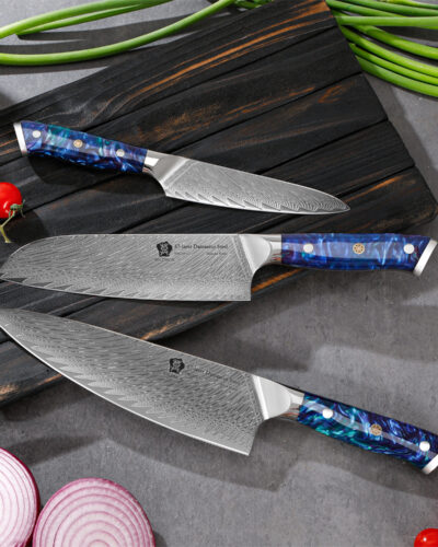 WILDMOK 3 Piece Damascus Steel Professional Chef Knife Set with Ultra Sharp Blade & Resin Handle