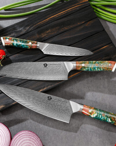 WILDMOK Sharp Damascus Steel Forged Blade Kitchen Knives Set with Ergonomic Resin Handle